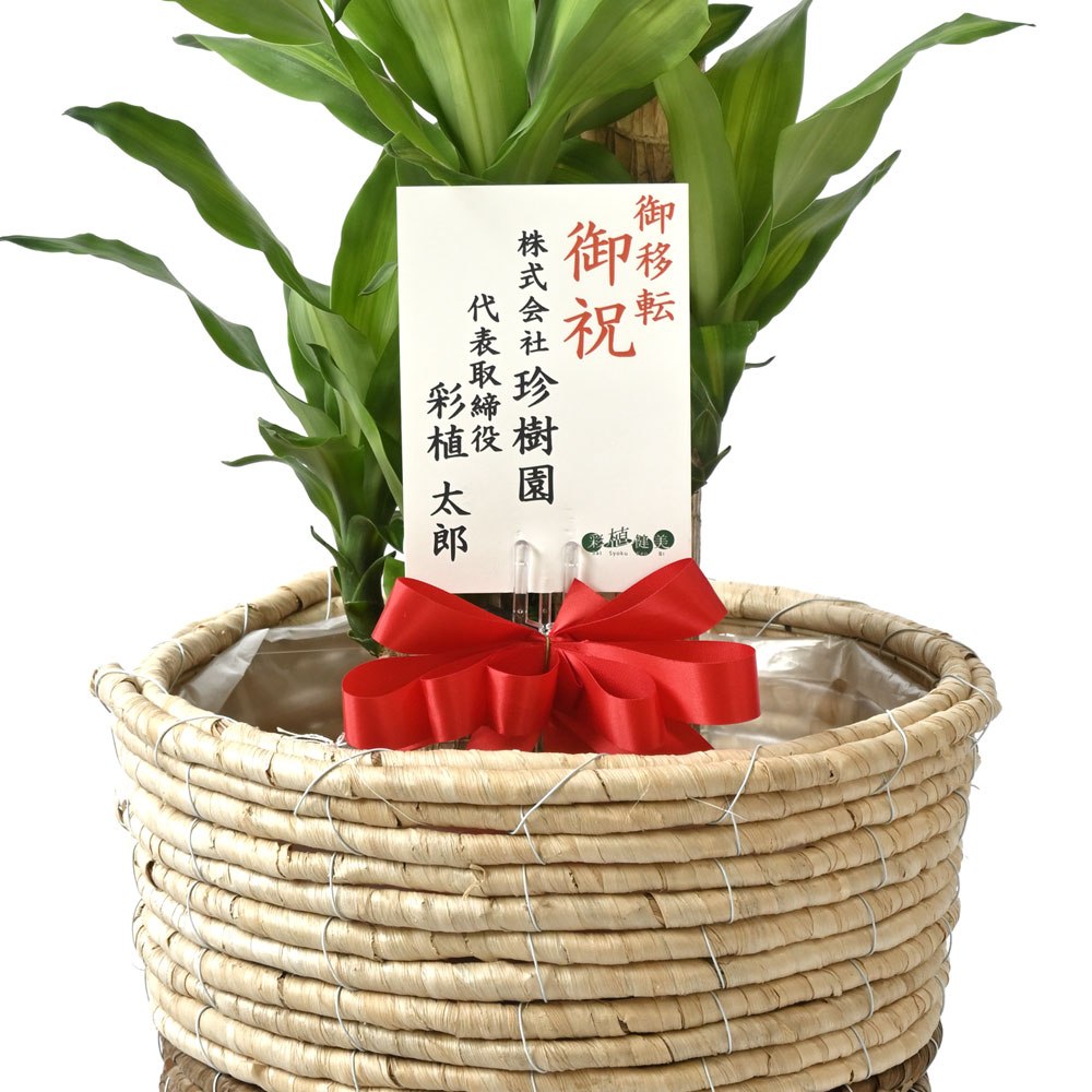 幸福の木