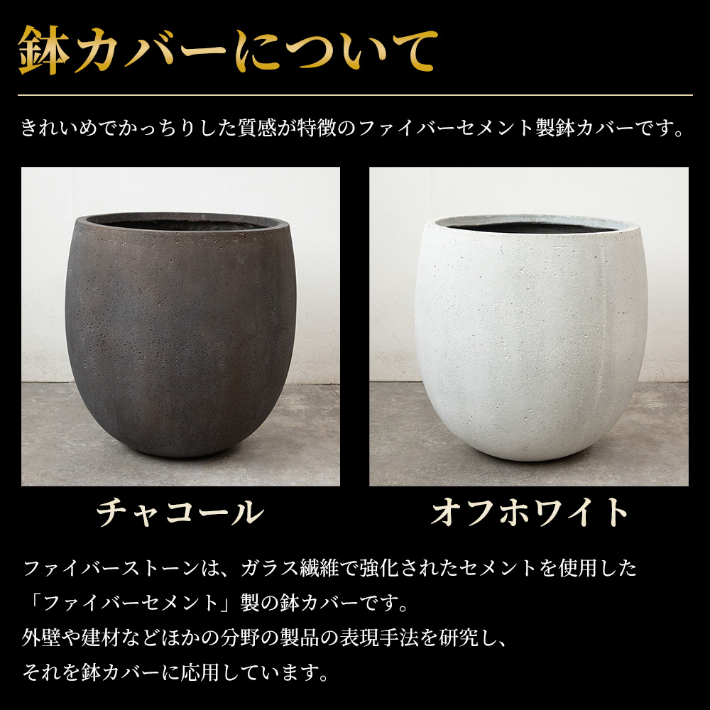 観葉植物 本物 ポトス 10号鉢（タワー仕立て）ファイバーストーン(陶器