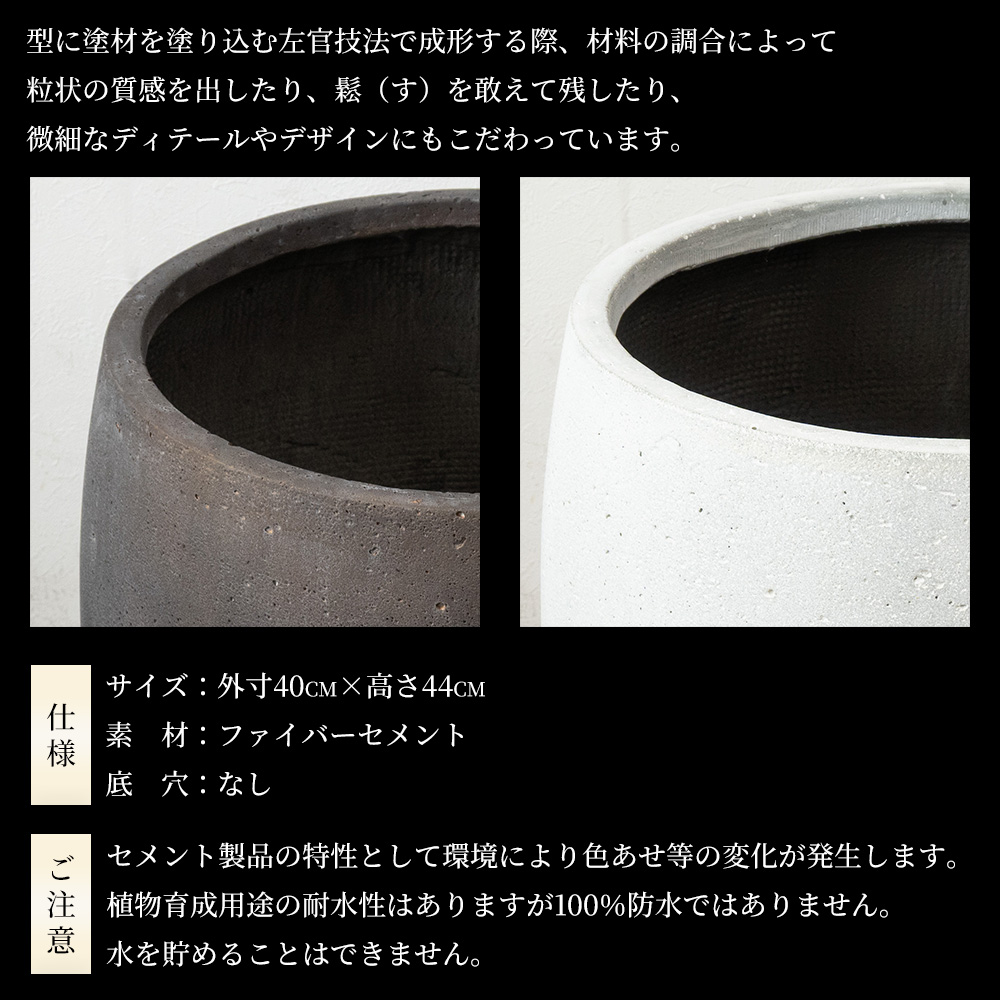 観葉植物 本物 シュロチク 棕櫚竹 10号鉢 ファイバーストーン(陶器)鉢