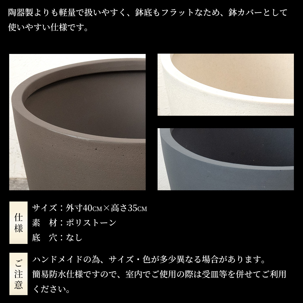 観葉植物 本物 シュロチク 棕櫚竹 10号鉢 ポリストーン鉢カバー付き
