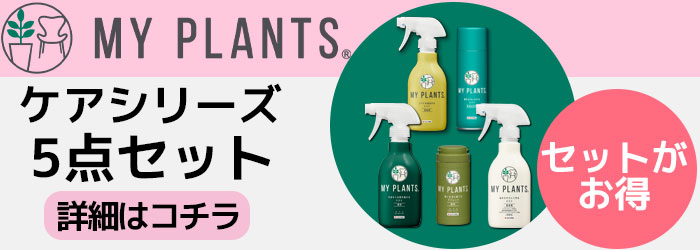 MY PLANTS 葉をきれいにするミスト 葉面洗浄剤 スプレー 220ml KINCHO