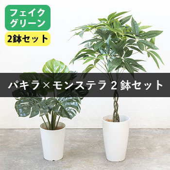 人工観葉植物 フェイクグリーン モンステラ プラ鉢ロングポット 高さ