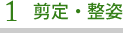 剪定・整姿