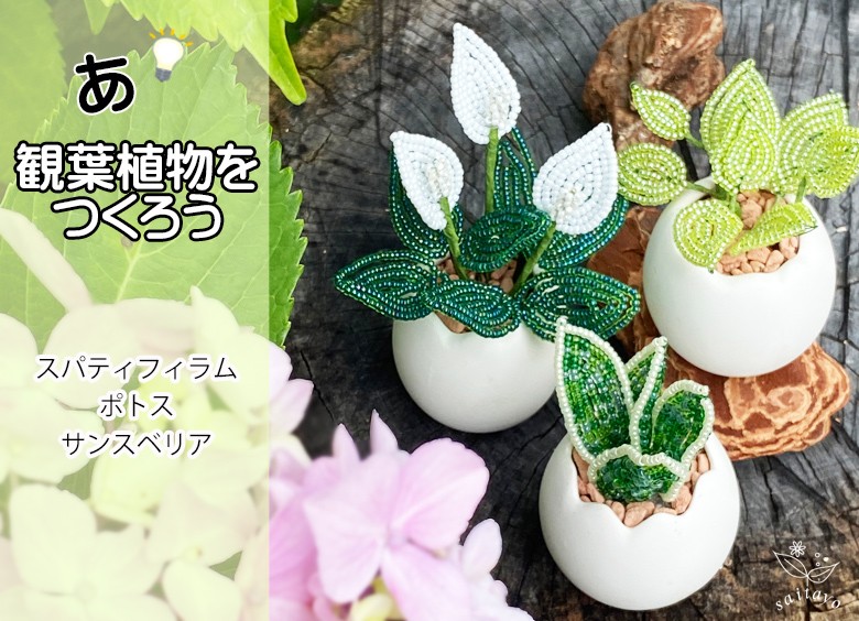 3syu-kanyou3.jpg