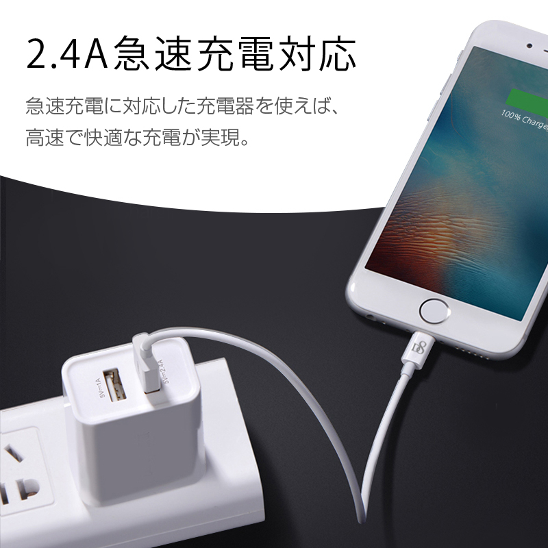 2本セット iPhone iPad iPod 対応 IOS 充電ケーブル MFI認証 Apple認証