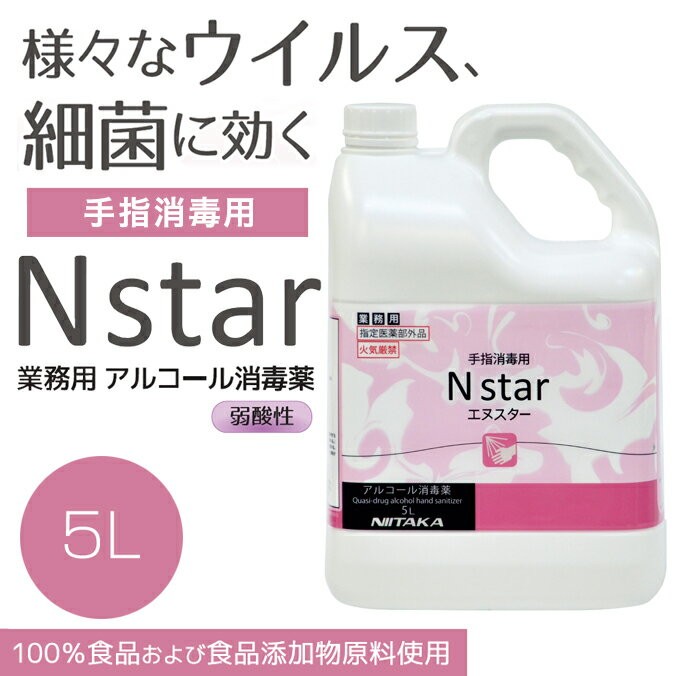 手指消毒剤 業務用アルコール消毒液 Nスター 5L ニイタカ 277131 学校