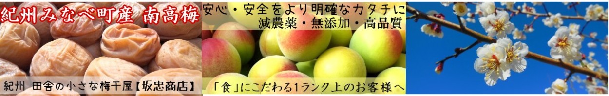 紀州　田舎の小さな梅干屋　坂忠商店