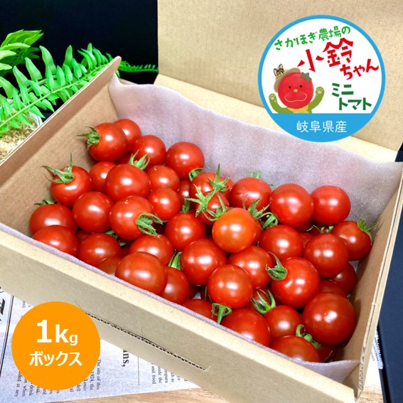 小鈴ちゃん 岐阜県さかほぎ産ミニトマト ボックス 1kg 産地直送