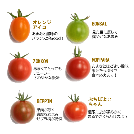 sw-12-04.png