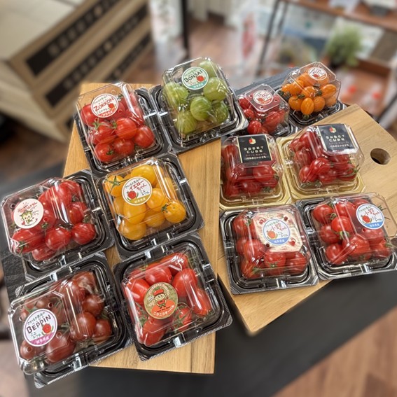 ミニトマト12パックセット 10種類のミニトマトが大集合！ 岐阜県さかほ