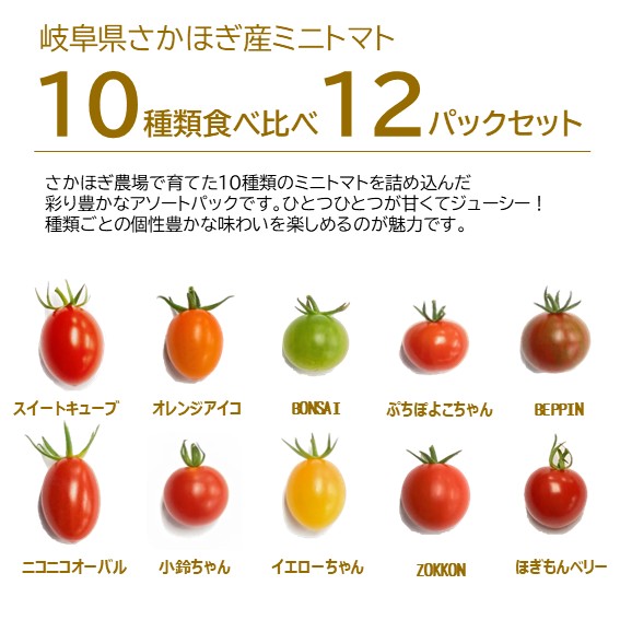 ミニトマト12パックセット 10種類のミニトマトが大集合！ 岐阜県さかほ