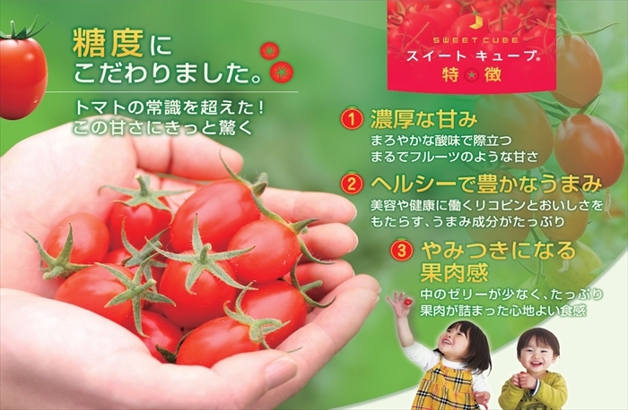 麻布Shizuhi　高糖度フルーツトマト5キロ 高糖度フルーツトマト – よしかファーム公式ウェブショップ