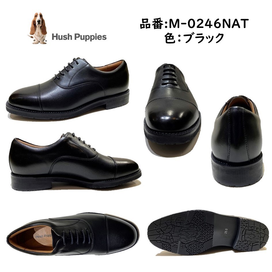 ハッシュパピー Hush Puppies メンズ 靴 ビジネスシューズ M-0246 NAT