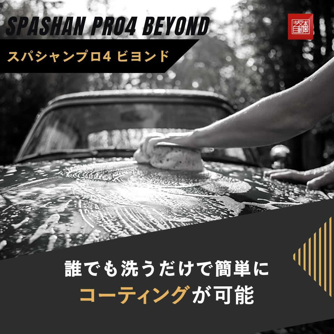 SPASHAN PRO4 beyond GOLD FINAL EDITION スパシャンプロ4 ビヨンド