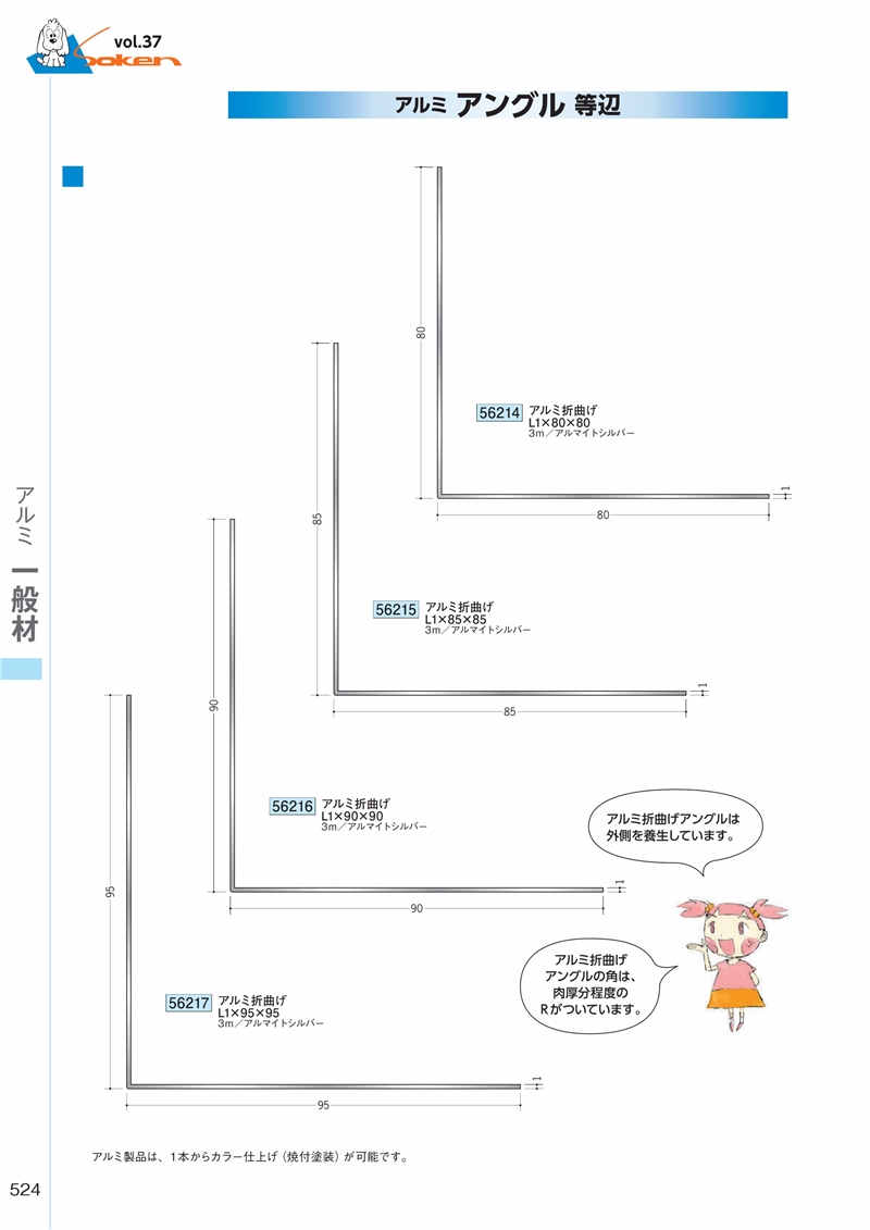専用ページ 創建 56206-3m アルミアングル等辺 アルミ折曲げL1×100×100 長さ3m