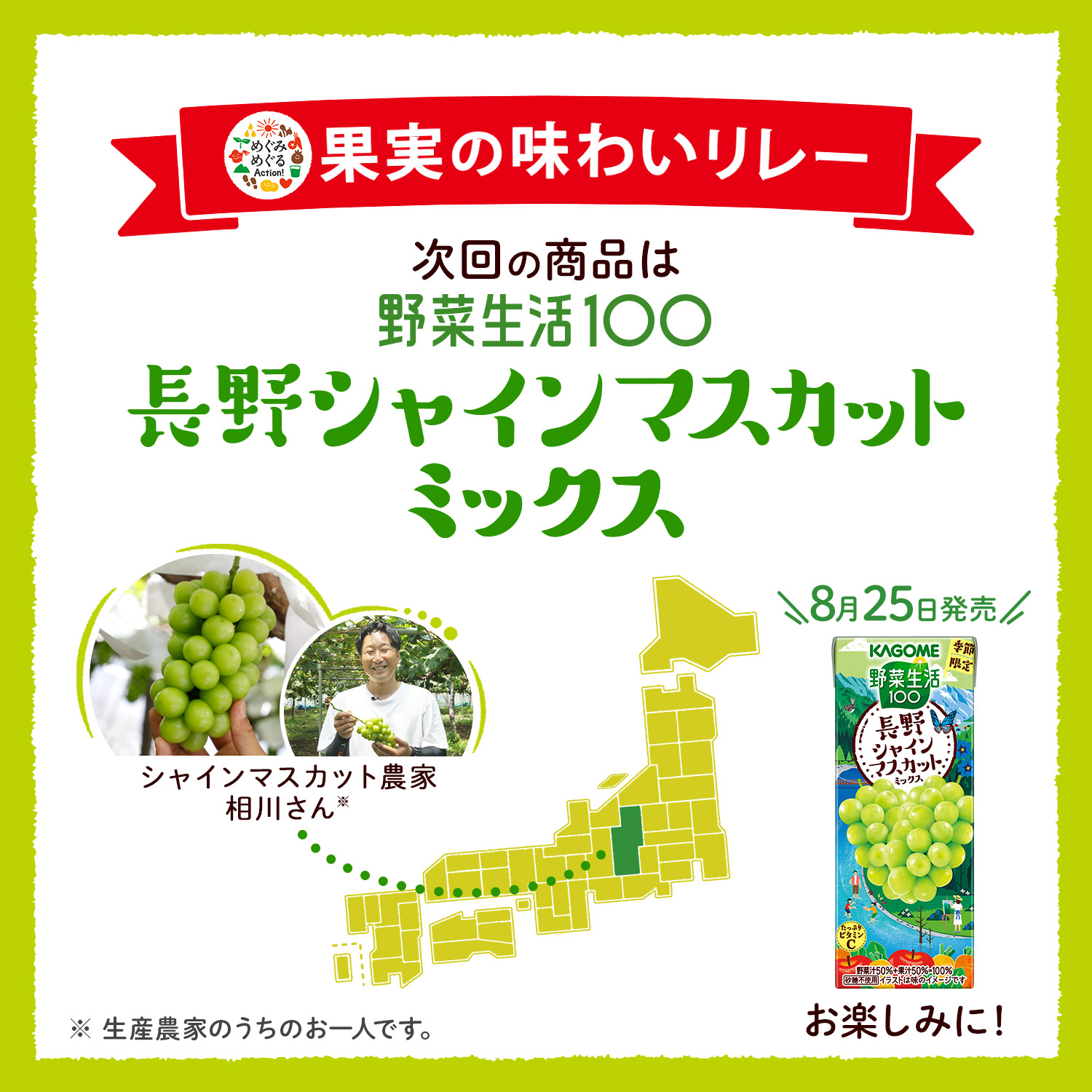 KAGOME（カゴメ） 季節限定 野菜生活100 山梨巨峰ミックス 195ml×96本