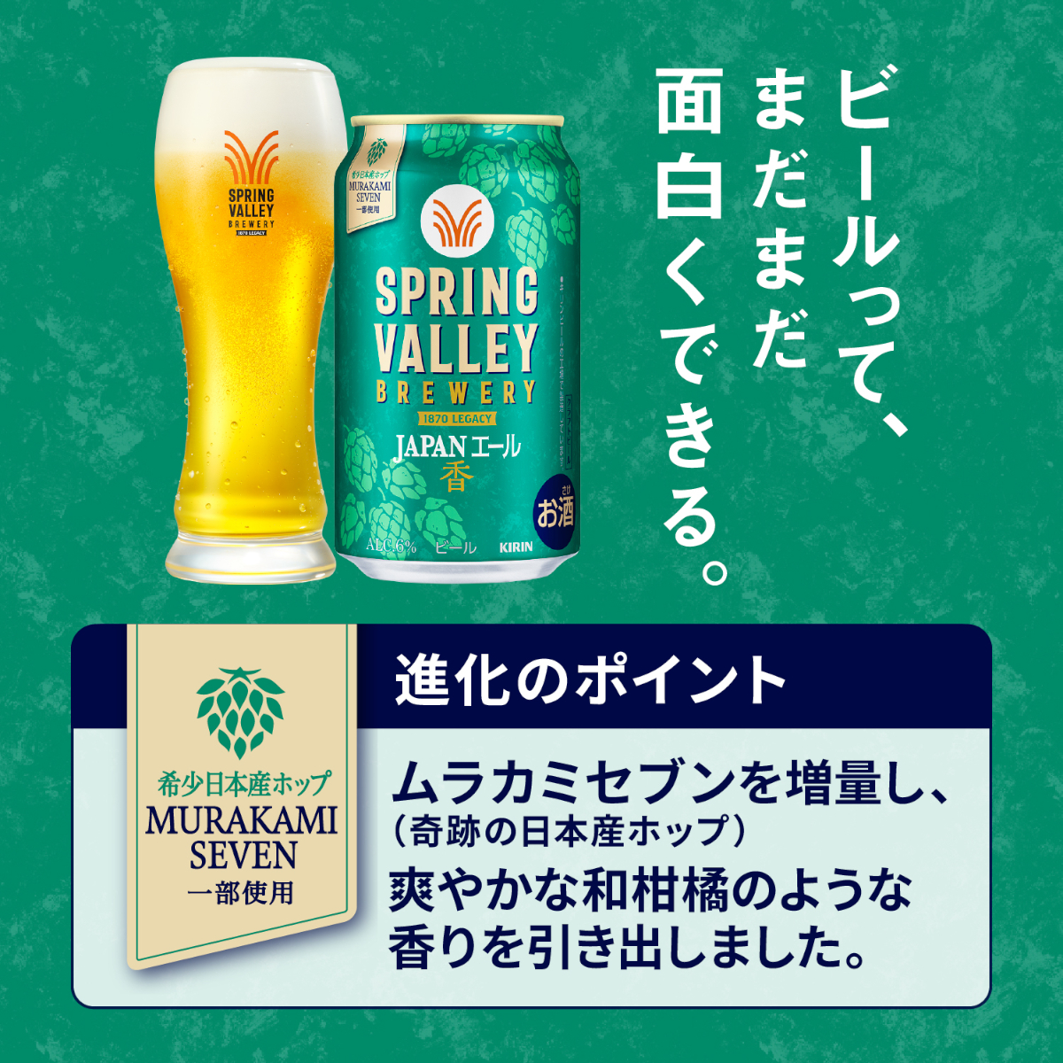 キリン（KIRIN） スプリングバレー SPRING VALLEY BREWERY JAPANエール