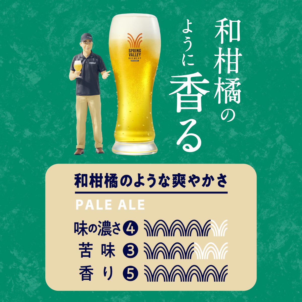 キリン（KIRIN） スプリングバレー SPRING VALLEY BREWERY JAPANエール