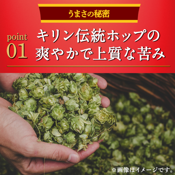 キリン 本麒麟 新ジャンル ビール類 送料無料 500ml×24本(1ケース