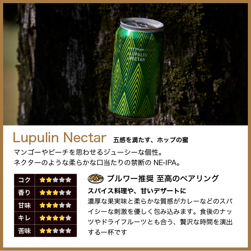 ワイマーケット クラフトビール ギフトセット 定番4種各1缶　 FIT最高金賞受賞ビール入り   (愛知県／Y.MARKET BREWING)  ギフト プレゼント のし無料 |  | 06