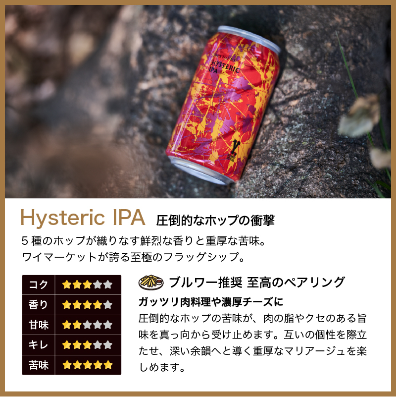 ワイマーケット クラフトビール ギフトセット 定番4種各1缶　 FIT最高金賞受賞ビール入り   (愛知県／Y.MARKET BREWING)  ギフト プレゼント のし無料 |  | 03