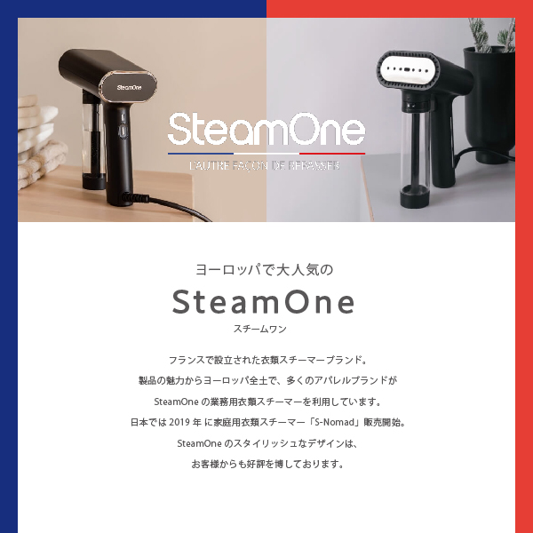 SteamOne スチームワン NS1750T Titanium チタニウム S-Nomad 衣類