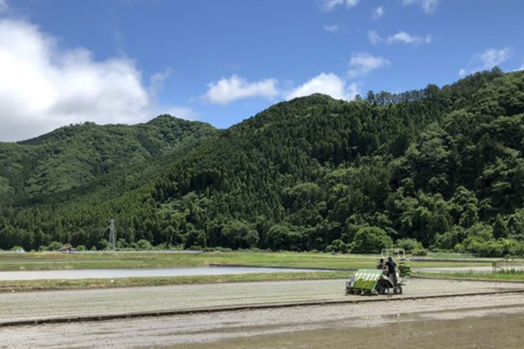 奥播磨　下村酒造店　燗でうまい酒　兵庫夢錦　姫路の酒　田所酒販　三重県　通販　日本酒