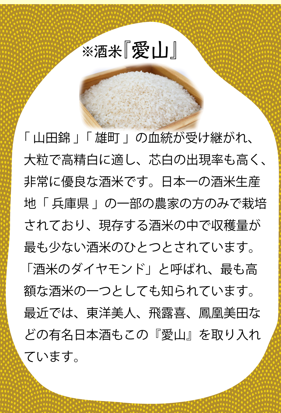 あいやま