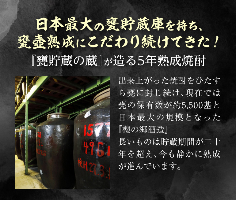 焼酎 黒甕の輝