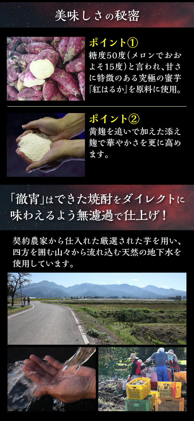徹宵 紅はるか