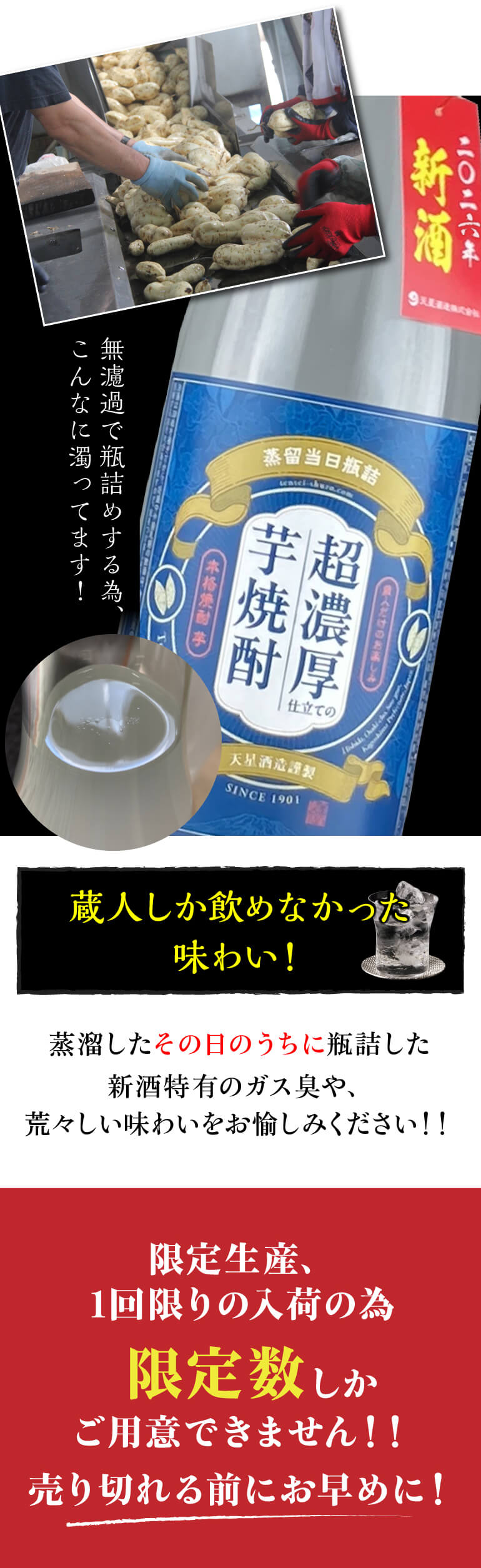 蔵人だけのお楽しみ 超濃厚仕立ての芋焼酎 25度 1.8L 2026年 新酒 瓶