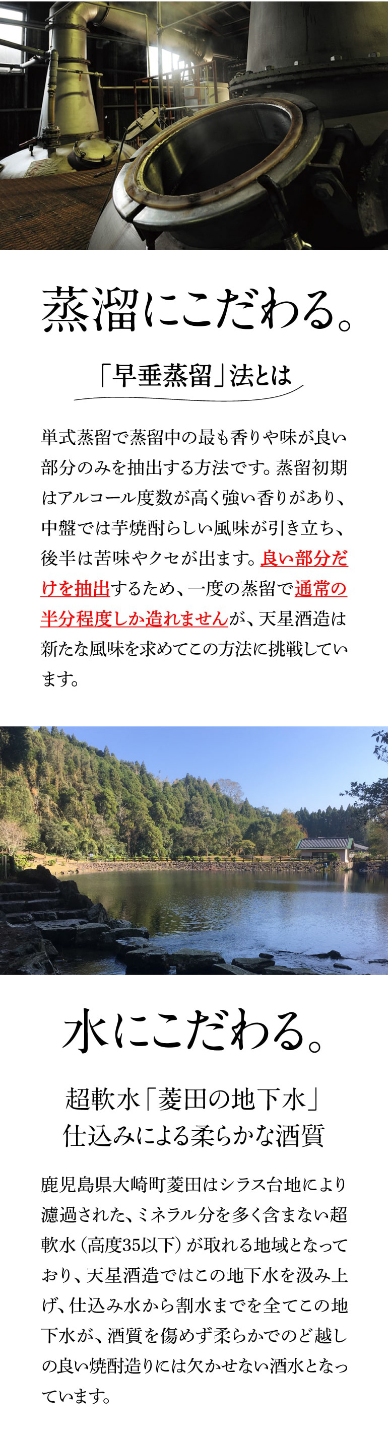 5/15限定P3倍 送料無料 芋焼酎 岳宝 早垂原酒 13年 43度 1,800ml