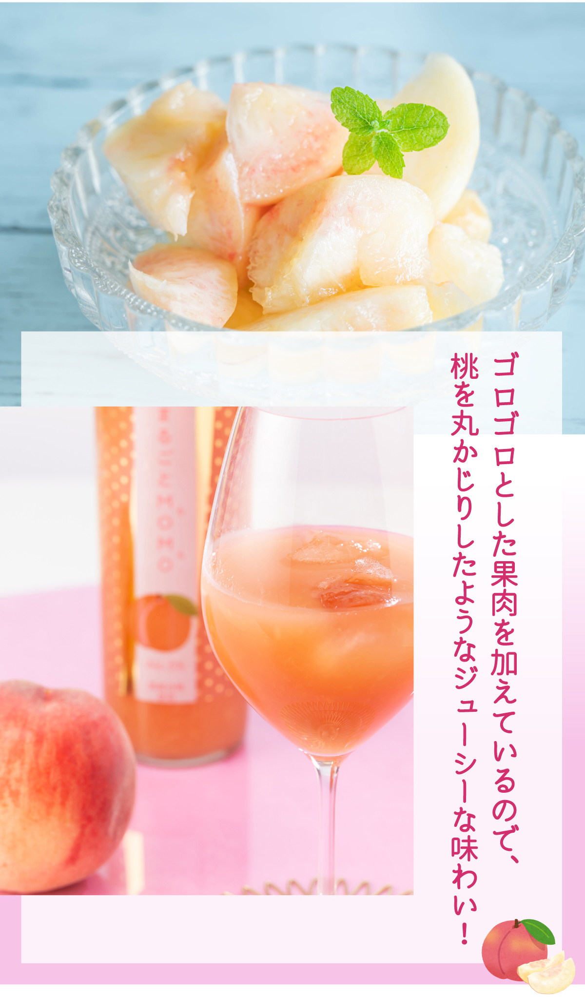 ☆朗報サマーセール中☆ 本日朝収穫ヤマモモ２.５キロプレゼント小粒300グラム 001-10710sq.jpg