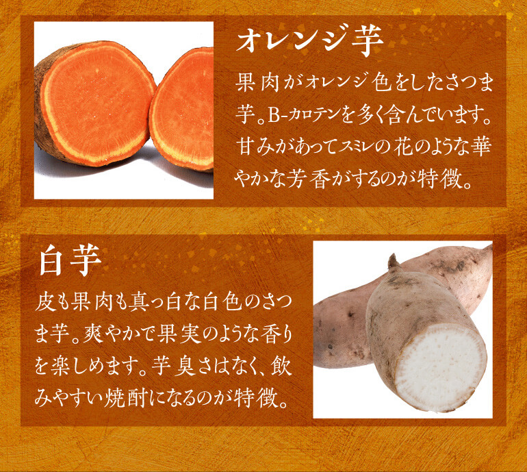 芋焼酎 すべて品種の違う芋使用 個性味わう芋焼酎セット