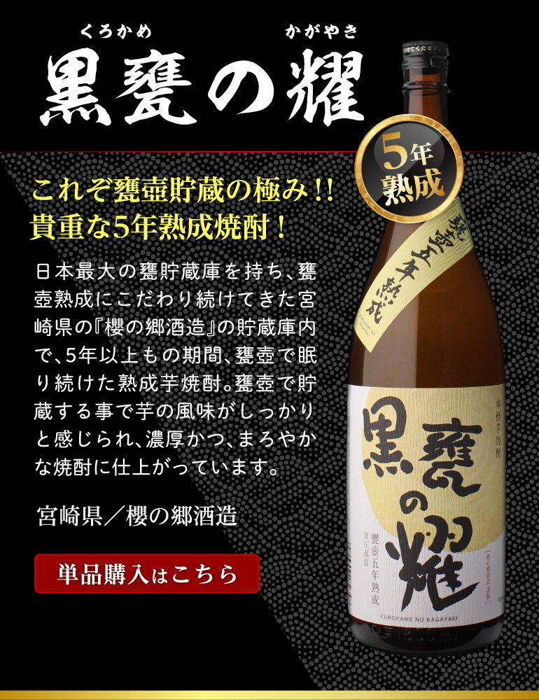 黒かめのかがやき