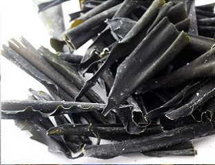 だし用 根昆布 (業務用) 真昆布 3kg / だし昆布 北海道産 国産 業務用