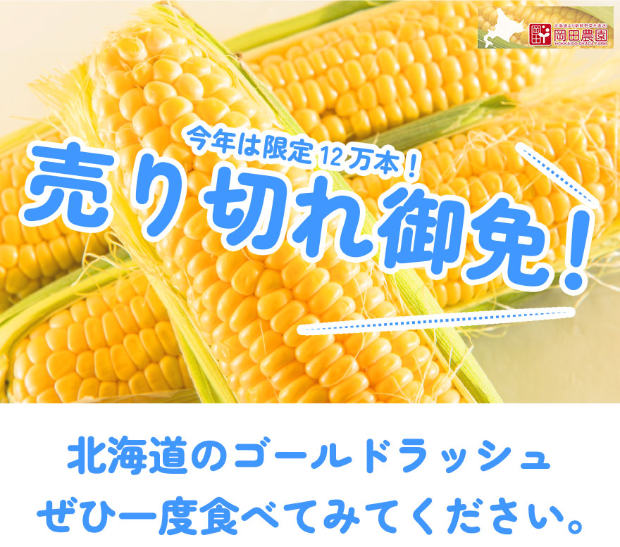 あさひさま専用！二箱。順次発送！朝採り　とうもろこし　ゴールドラッシュ終了間近！ 和歌山県とんだ産 朝採りとうもろこし「ゴールドラッシュ」 約