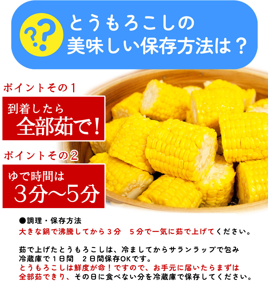 北海道産 朝採れとうもろこし ゴールドラッシュ（一番果） 2L