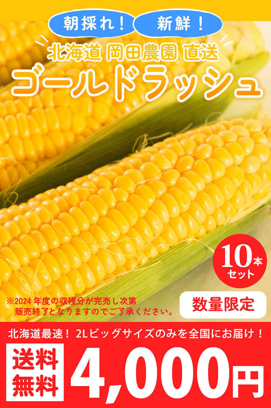 新鮮　北海道産初物　春とうもろこし2Lサイズ　20kg　ハウス栽培 新鮮 北海道産初物 春とうもろこし2Lサイズ 20kg ハウス栽培