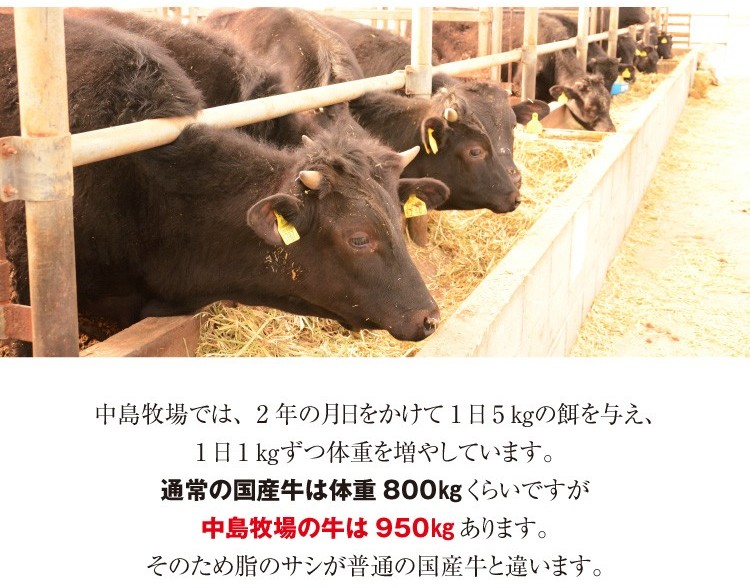 中島牧場牛サーロインステーキ300ｇ 贈答用 お祝い お中元 熟成 国産 