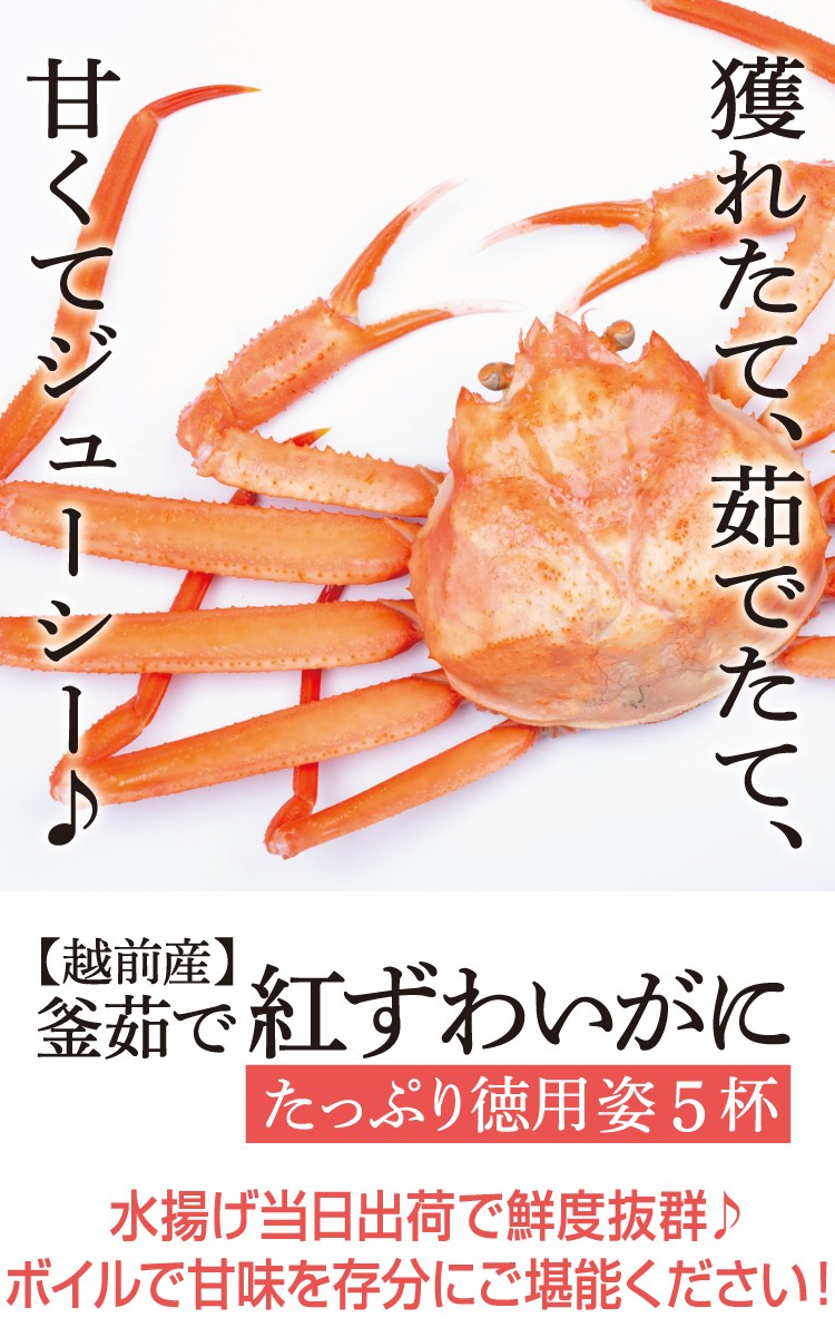 沸騰ブラドン 友田セーリング 紅ズワイカニ爪 M 500g NET400g etoz.com.br