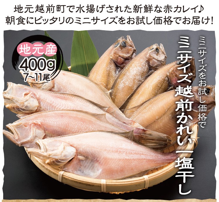 越前カレイ 干物 小サイズ400g 約7 11尾 かれい干物詰め合わせ 天神講の焼きガレイにも 美味食卓さくだや 通販 Yahoo ショッピング