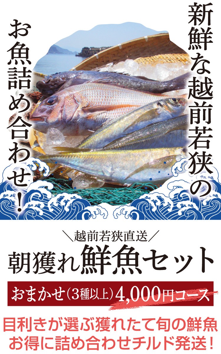 Rakuten 鮮魚セット 鮮魚ボックス 4000円コース 鮮魚 詰め合わせ 直送 ３種以上 下処理 notimundo.com.ec