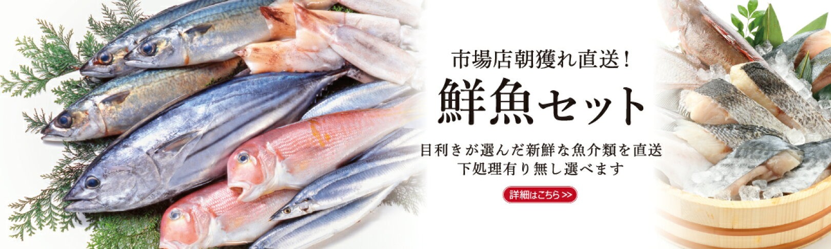 Amazon.co.jp: 美味食卓さくだ屋 【朝獲れおまかせ鮮魚セット