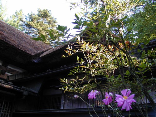 角館の曲がり家と花