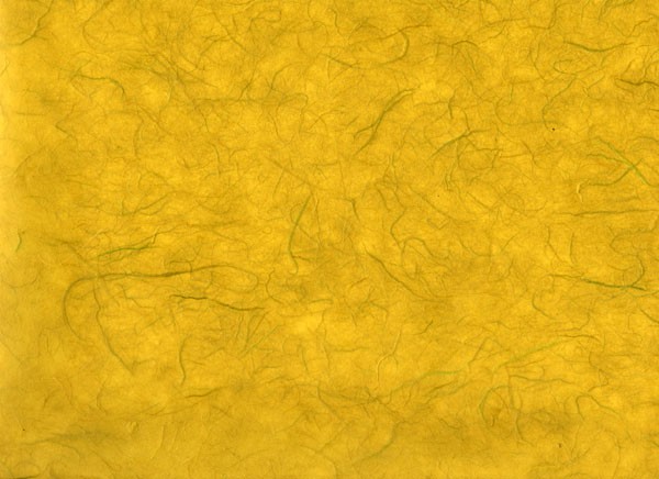 雲竜紙 からし色の写真