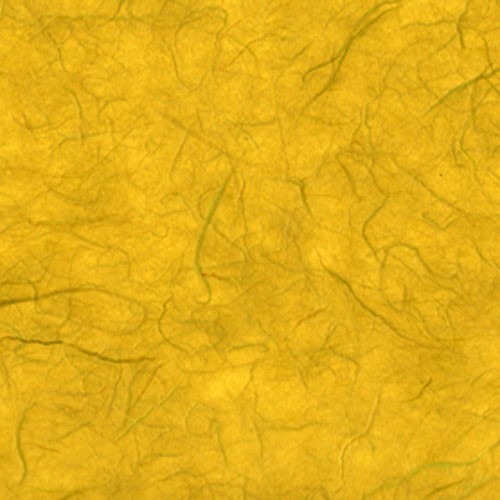 雲竜紙 からし色の詳細写真