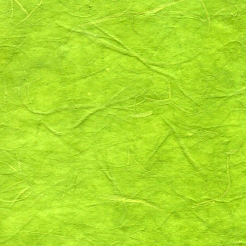 雲竜紙　うす緑色の詳細写真