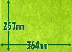 雲竜紙　うす緑色サイズ