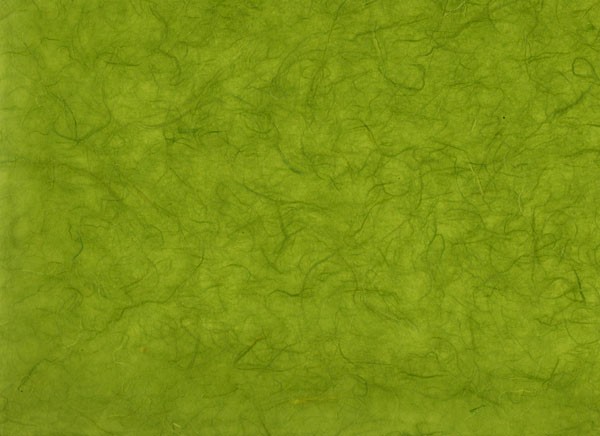 雲竜紙　草色の写真